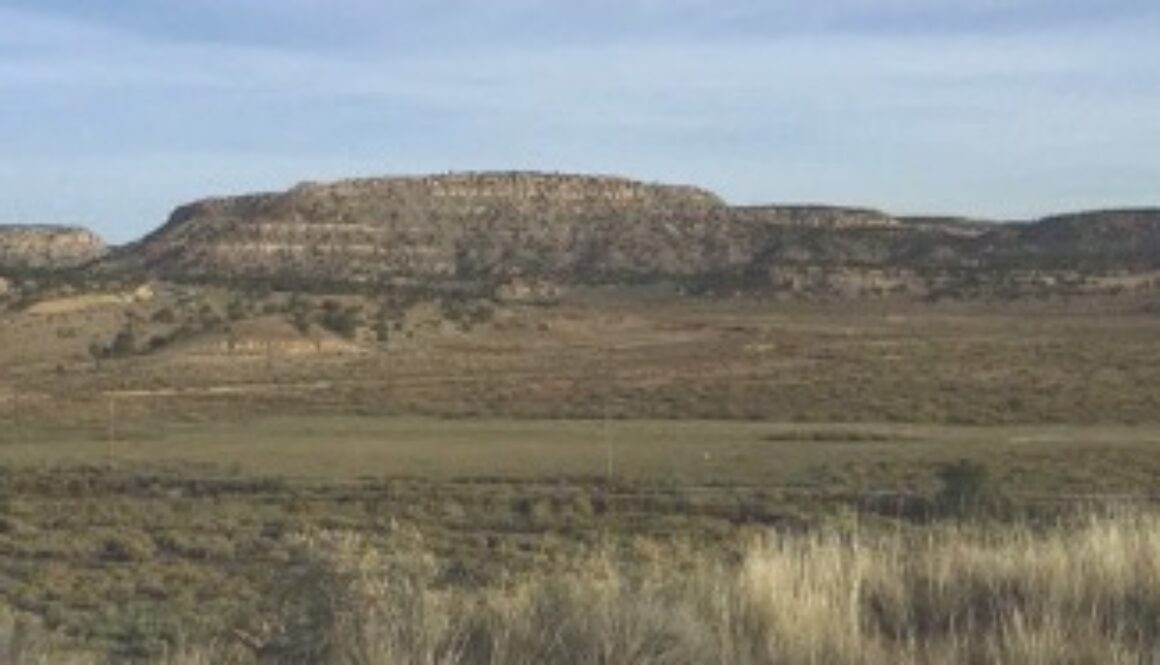unc mill site