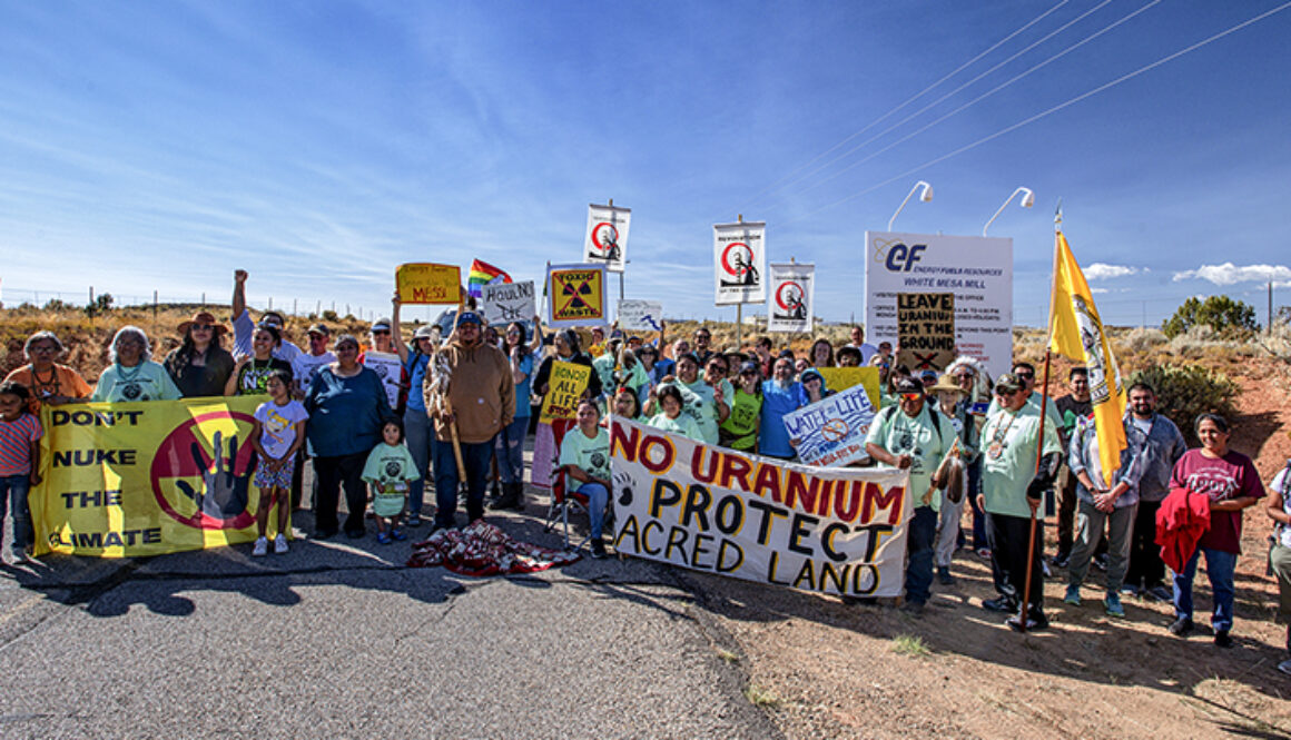 2023_WMCC_Walk_Group_at_millTimPeterson