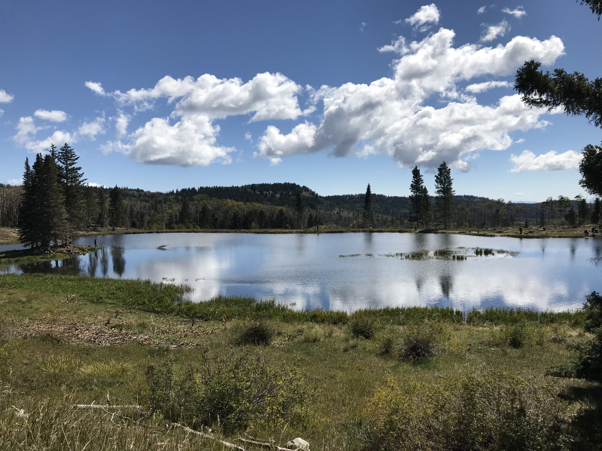 Canadian-based company seeks exploratory permit to drill uranium in northern New Mexico