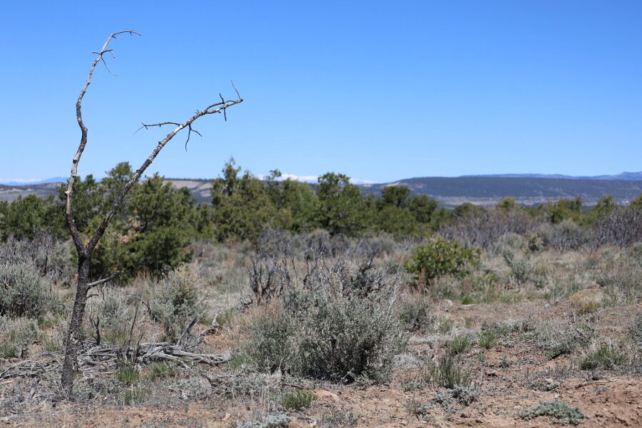 Continental Divide Trail Coalition raises alarm about NM uranium mine impact on hikers, landscape